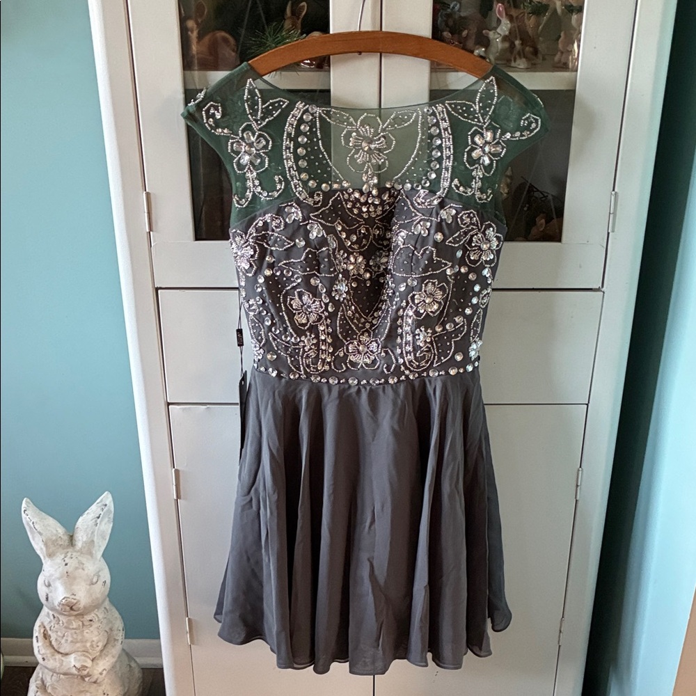 Anya sz 6 Elegant Gray Dress with Embellished Bodice NWT formal